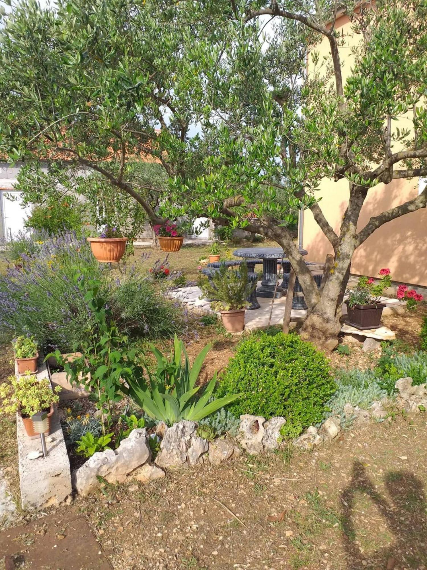 Rural Apartment Ante Drnis Exterior photo